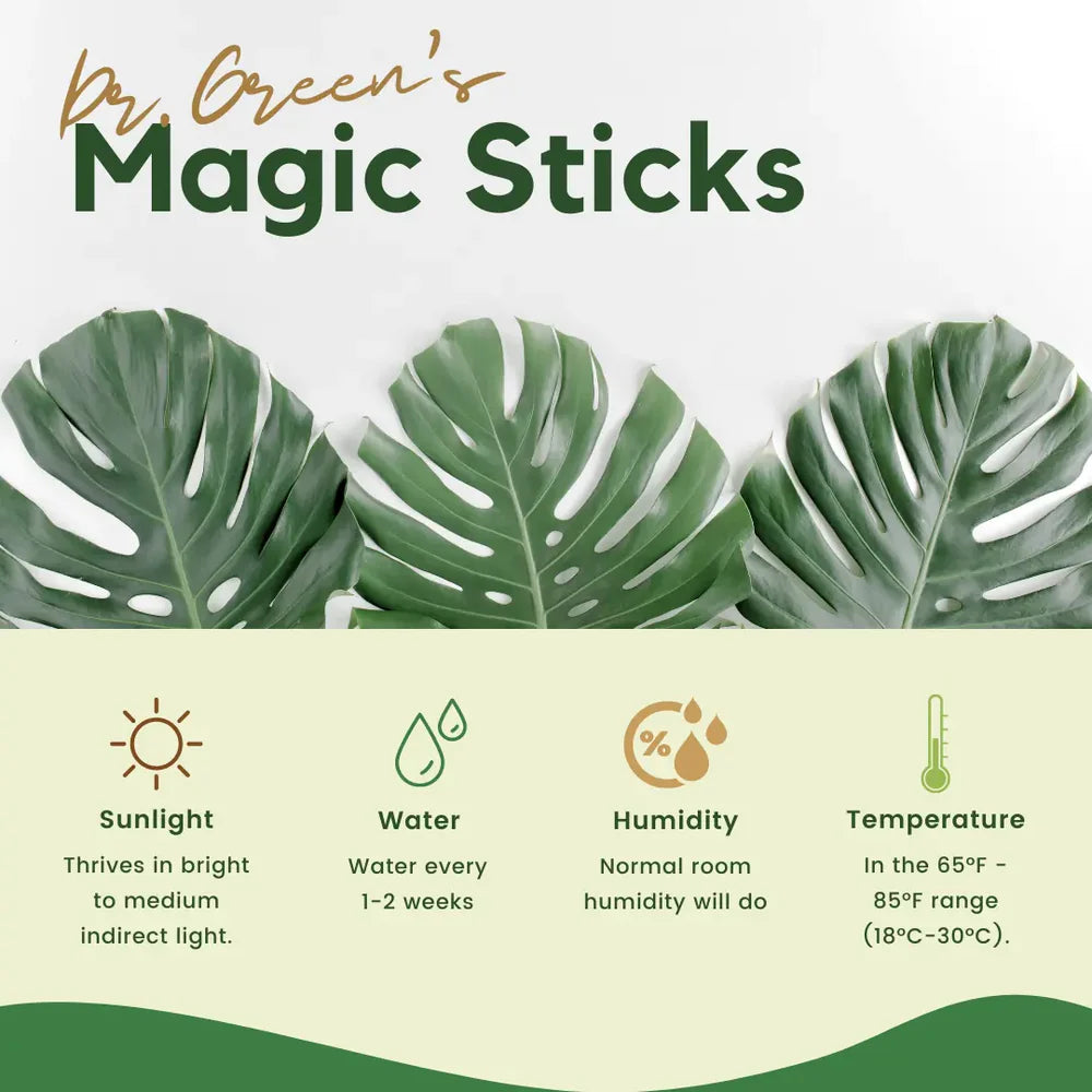 Plant Grow Fertilizer Sticks For Plants (Buy 1 Get 1 Free)